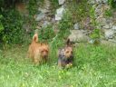 Filename=Garten4.jpg
Filesize=272KiB
Dimensions=800x600
Date added=May 20, 2016 Garten4.jpg