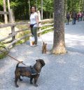 Filename=Hundebegegnung.jpg
Filesize=611KiB
Dimensions=984x1043
Date added=Jul 13, 2014 Hundebegegnung.jpg