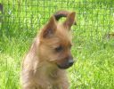 Filename=Rocky_10wo1.jpg
Filesize=180KiB
Dimensions=600x469
Date added=May 12, 2014 Rocky_10wo1.jpg